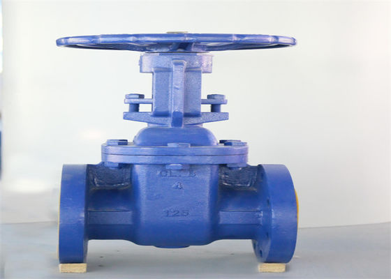 ANSI API Rising Stem Flanged Gate Valve 125LB Cast Iron 4 Inch Low Pressure