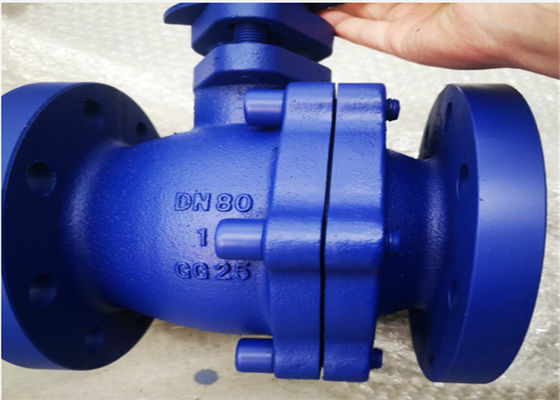 DIN Standard PN16 2PS Floating Ball Valve Cast Iron Flanged End 2"-8"